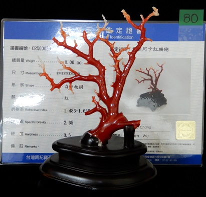 珊瑚